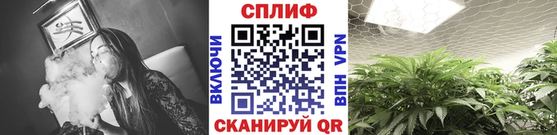 Где найти наркотики Кувандык Альфа ПВП МЕФ ГАШ Марихуана