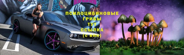 хмурый Балабаново