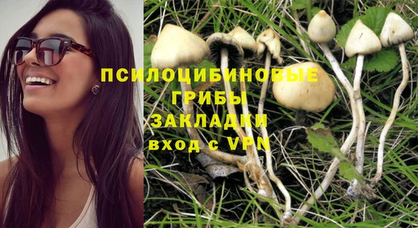 метамфетамин Белокуриха