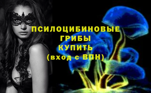 хмурый Балабаново