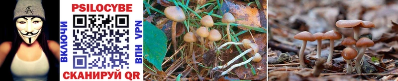 Псилоцибиновые грибы MAGIC MUSHROOMS  Кувандык 