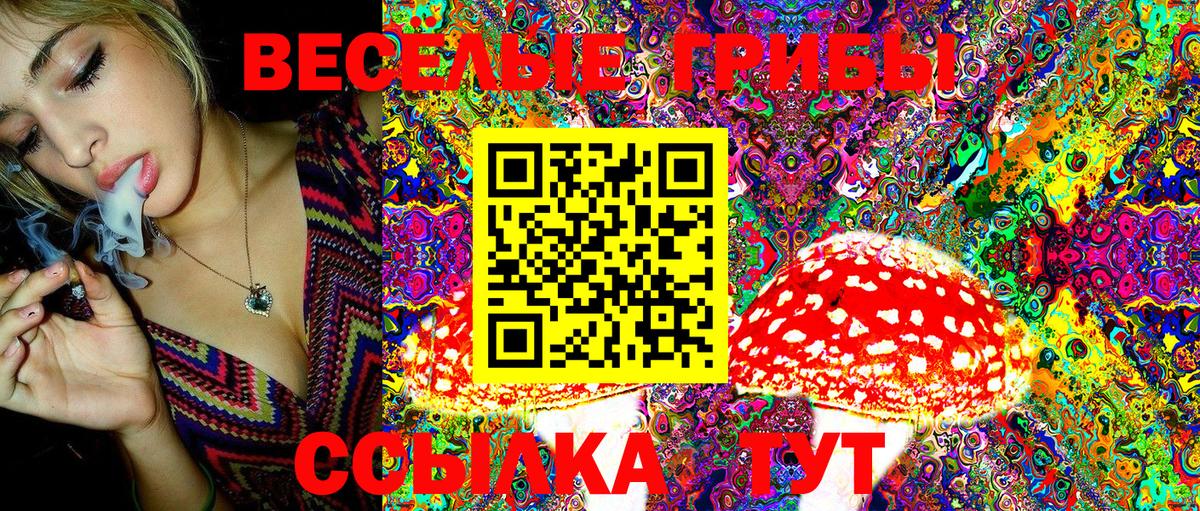 Кувандык  Галлюциногенные грибы Magic Shrooms  Галлюциногенные грибы Magic Shrooms  Вход с VPN 