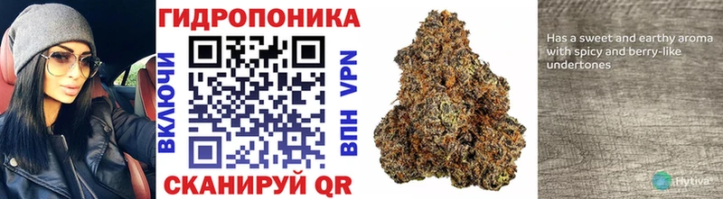 Шишки марихуана SATIVA & INDICA  Кувандык 